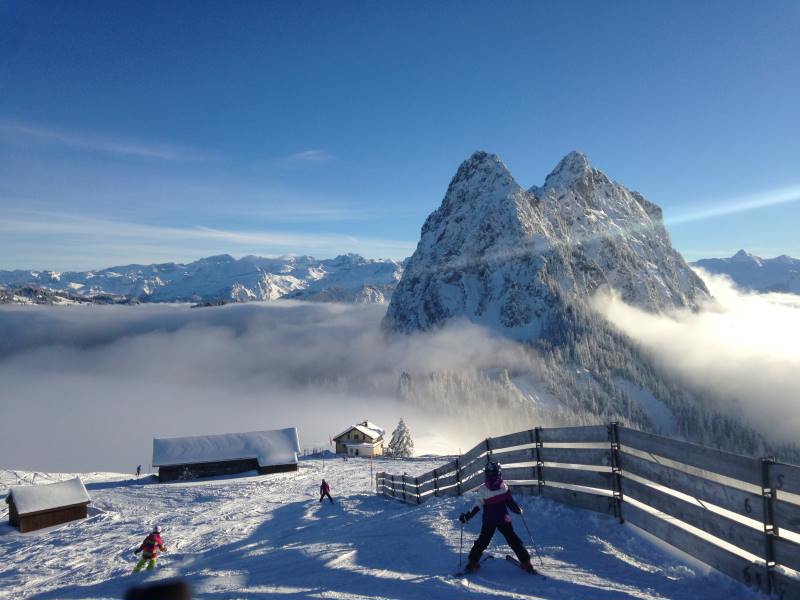 Bild1